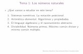 Tema 1: Los numeros naturales - uah.es · >C omo funciona nuestro algoritmo tradicional? Pedro Ramos. Matematicas I. Grado de Educaci on Primaria. Universidad de Alcala. Algoritmos
