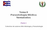 Tema II Parasitología Médica Nematodos - .Enumerar las características morfológicas típicas.