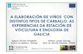 Elaboración de viños con distintos tipos de carballo ...evega.xunta.gal/wp-content/uploads/2016/02/Elaboracion_de_-vinos... · •Estudiar el comportamiento de la variedad Mencía