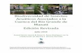 Biodiversidad de Insectos Acuáticos Asociados a la Cuenca ...drna.pr.gov/wp-content/uploads/2018/04/Biodiversidad_2010_FINAL.pdf · par de antenas, tres pares de patas y dos pares