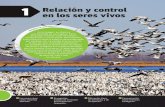 1 en los seres vivos Relación y control - sm-argentina.comsm-argentina.com/wp-content/uploads/2019/novedades/189423_Bio_3_u... · 1 en los seres vivos A m p l i á ... de otro ser