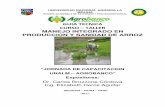 GUIA TECNICA CURSO - agrobanco.com.pe · La importancia socio-económica y nutricional del arroz en el Perú vislumbra un futuro de expansión, por lo que es necesario también desarrollar