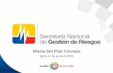 María Del Pilar Cornejo - gestionderiesgos.gob.ec · Preparación y organización de 17 parroquias de las provincias de Loja y ... Implementar un Modelo de Gestión Integral en los