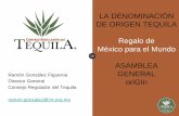 LA DENOMINACIÓN DE ORIGEN TEQUILA Regalo de México … · La Declaración delimita el territorio que comprende la Denominación de Origen Tequila e incluye los 125 municipios de