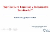 “Agricultura Familiar y Desarrollo Territorial” - gob.mx · Es necesario una visión integral de las actividades económicas, necesidades y oportunidades de negocio a nivel regional