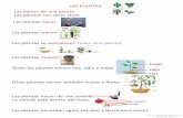 Las partes de una planta Las plantas son seres vivosceipsantamariadegracia.com/wp-content/uploads/2016/10/LAS-PLANTAS.pdf · Las partes de una planta Las plantas son seres vivos Las