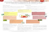 Prevenció, control i tractament de malalties víriques en ... · Prevenció, control i tractament de malalties víriques en el cultiu de tomaquera en un entorn ecològic Per Ariadna