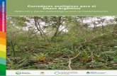 Corredores ecológicos para el Chaco Argentinoleydebosques.org.ar/zips/informesoficiales/Corredores... · 2016-07-13 · representación en el sistema de áreas ... leña (para carbón);
