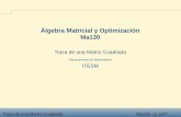 Álgebra Matricial y Optimización Ma130cb.mty.itesm.mx/materias/ma4011/materiales/a130-07.pdf · Traza de una Matriz Cuadrada Ma130 - p. 1/27 Álgebra Matricial y Optimización Ma130