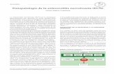 Fisiopatología de la enterocolitis necrotizante (ECN) · la adaptación de la circulación fetal a neonatal.10 Sin embargo, faltan estudios (nuevos modelos animales) que ... DBP,