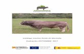 Catálogo machos Parda de Montaña Evaluación SEPTIEMBRE … · Por último se presentan los datos productivos del toro si dispone de ellos y la de las diferentes componentes de
