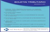 BOLETIN TRIBUTARIO - atrird.comatrird.com/archivos/arch_117.pdf · BOLETIN TRIBUTARIO EDICION No. 5, 2013 1. Editorial: Haití y República Dominicana. Los aspectos impositivos que