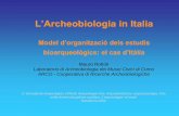 L’Archeobiologia in Italiabioarqueologia.cat/upload/files/mauro_rottoli.pdf · Cosa studia l’Archeobotanica? ... ad altre analisi su materiali organici diversi • I metodi utilizzati