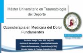 Ozonoterapia en Medicina del Dolor Fundamentos · Sensibilización periférica en el dolor crónico Goicoechea y Martín. Reumatol Clin 2006; 2, Suppl 1: 5-9 La cronicidad condiciona