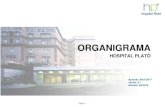 ORGANIGRAMA - hospitalplato.com V21... · Juani Parra Montse Sed ...