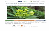SEGUIMIENTO Euphorbia bourgeana (=E. lambii)lifegarajonayvive.com/images/PDF-documentacion/Euphorbia-bourgeana... · consideradas, en cualquier caso, al menos como ESU (Unidad Significativa
