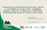 Evaluación de rendimiento de biomasa y grano a variedades ...crsps.net/wp-content/downloads/INTSORMIL/Inventoried 9.7/3-2012-5... · interacción genotipo ambiente explicaron el