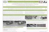 Análisis de la geometría de nanotubos de SiO2 como soporte de … · Jóvenes a la Investigación # 11 - 29 junio 2012