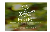 Descripción general del informe oficial de RSK Página 2/22 · Descripción general del informe oficial de RSK Página 4/22 Introducción En 2008, Satoshi Nakamoto revolucionó los