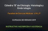 Cátedra “B” de Citología, Histología y Embriología · catedra histologia b Created Date: 12/21/2018 1:45:24 PM ...