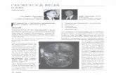 Presentación de PowerPointunicieo.edu.co/wp-content/uploads/2013/11/El hueso Segunda Parte 2.pdf · Odontología integal El Hueso ne receptores en el hipotólamo en donde inhibe