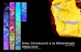 Transparència - media.firabcn.esmedia.firabcn.es/content/S002014/doc/introduccio_guia_mineralogia.pdf · Metasomatisme de contacte Metamorﬁ sme de contacte Processos hidrotermals