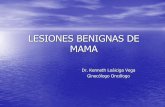 LESIONES BENIGNAS DE MAMA - loaiciga.comloaiciga.com/documentos/lesiones_benignas_de_mama.pdf · fibrosas que fijan la mama a la fascia subcutÁnea y a la dermis de la piel ( origan