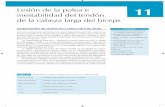 ESTABILIZADORES DEL TENDÓN DE LA CABEZA LARGA …media.axon.es/pdf/75879_4.pdf · del TCLB, dado que una ruptura en la porción más anterior del tendón del supraespino-so (TSE)