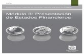 Módulo 3: Presentación de Estados Financieros · 2009 Fundación IASC: Material de formación sobre la NIIF para las PYMES. Módulo 3: Presentación de Estados Financieros