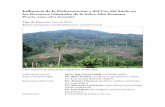 Influencia de la Deforestación y del Uso del Suelo en los ... · de planificación de un manejo sostenible de los recursos naturales y de un desarrollo sostenible del crecimiento