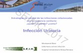 Infección Urinaria - SEIMC2017 - Inicio³n Urinaria Montserrat Riera Enfermera control infección Hospital Universitario MútuaTerrassa SEIMC 2017 Impacto potencial 1,7 millones infecciones