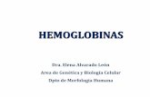 Presentación de PowerPoint · EVOLUCION EN LA SINTESIS DE LAS HEMOGLOBINAS. Mecanismo de duplicación del ADN. EVENTOS MUTACIONALES 1. SUSTITUCION DE UNA BASE POR OTRA 2. DELECCIONES