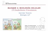 BLOQUE 2. BIOLOGA CELULAR 2.9 Anabolismo: Fotos­ntesis de anabolismo* Se pueden distinguir dos tipos