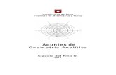 Apuntes de Geometría Analítica · Geometría Analítica Claudio del Pino O. 2011 . Introducci on Estos apuntes, en su versi on preliminar, se ha escrito para proporcionar un material