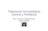 Tolerancia Inmunológica Central y Periférica · CTL o LTc o CD8 +: linfocitos T citotóxicos Ambos tienen el receptor para Ag (TCR) pero ... RPP . C. M. Lützelschwab, 2016 . 1º