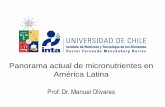 Panorama actual de micronutrientes en América Latinailsinorandino.org/wp-content/uploads/sites/16/2016/05/Olivares... · Otra etiología Inflamación/Infección (viral, ... Riboflavina