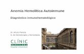 Anemia Hemolítica Autoinmune - malaltiesminoritaries.org · • Es la causa más frecuente de anemia hemolítica en el adulto. • Es la más facil de diagnosticar. Anemia Hemolítica