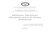 Motores Eléctricos Eficientes para el Sector Industrial · normalización del cálculo de rendimiento de un motor, las clases de eficiencia ... En este punto se analiza el estado
