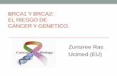 BRCA1 Y BRCA2: EL RIESGO DE CÁNCER Y GENETICO. …loaiciga.com/documentos/brca1y2.pdf · •El riesgo de desarrollar CA ovario oscila entre 20-40% para quienes portan mutación en