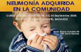 NEUMONÍA ADQUIRIDA EN LA COMUNIDAD - … · ATIPICA: BACTERIANA v Subaguda + BEG v TOS síntoma guía + fiebre, mialgias, rinitis, faringitis y/o miringitis. v Puede dolor torácico.