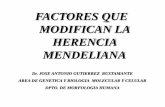 FACTORES QUE MODIFICAN LA HERENCIA MENDELIANA · Acondroplasia. 5. Pleiotropía Cuando la mutación produce efectos fenotípicos en diferentes sistemas. ... Heterocigoto con fenotipo