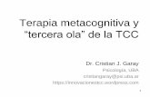 Terapia metacognitiva y “tercera ola” de la TCC · del lenguaje (teoría del marco relacional) que cuestiona el rol causal de las cogniciones sobre las conductas. 36 ¿Existe