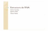 prediccion estructura RNAamoreira/bio10/RNA.pdf · Estructura terciaria del RNA Hace referencia a la organización que tienen los elementos de la estructura secundaria en el espacio.