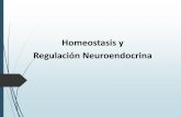Homeostasis y Regulación Neuroendocrina filePregunta PSU, Demre modelo de admisión 2015 ¿En cuál de las siguientes opciones se expresa el concepto de homeostasis? A) Las variables
