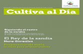 Edición Nº1 | 2019 Revista Centro de Extensión Hortícola ...cultivauchile.cl/wp-content/uploads/2019/03/Revista_n_1_Cultiva-Uchile.pdf · En Chile las sandías más renombradas
