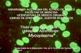 UNIVERSIDAD AUTÓNOMA DEL ESTADO DE MÉXICO … · Patogenesis y enfermedad Imagen modificada. Crédito de la imagen.  df ... Eritema multiforme