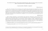 Fundamentos microeconómicos de la macroeconomía Leonardo ...bibliotecadigital.univalle.edu.co/bitstream/10893/638/1/fundamentosMicro.pdf · las grandes ciudades como consecuencia