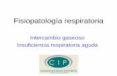 Fisiopatología respiratoria - Rama de Cuidados Intensivos ...intensivo.sochipe.cl/subidos/catalogo3/FISIOPATOLOGIA RESPIRATORIA.pdf · Fisiología y Fisiopatología Respiratoria