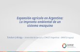 Expansión agrícola en Argentina: La impronta ambiental de un …saras-institute.org/.../SARAS2018-Exp2-JOBBAGY.pdf · 2018-12-20 · Sistemas Productivos Tipos de Cubierta Simulación