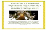 i Reducción de emisiones debidas a la deforestación y la ... · REDD+ SES Estándares sociales y ambientales para REDD+ ... aquellas presentes en el programa ONU-REDD y en el Fondo